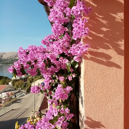 Biserka Stara Baška