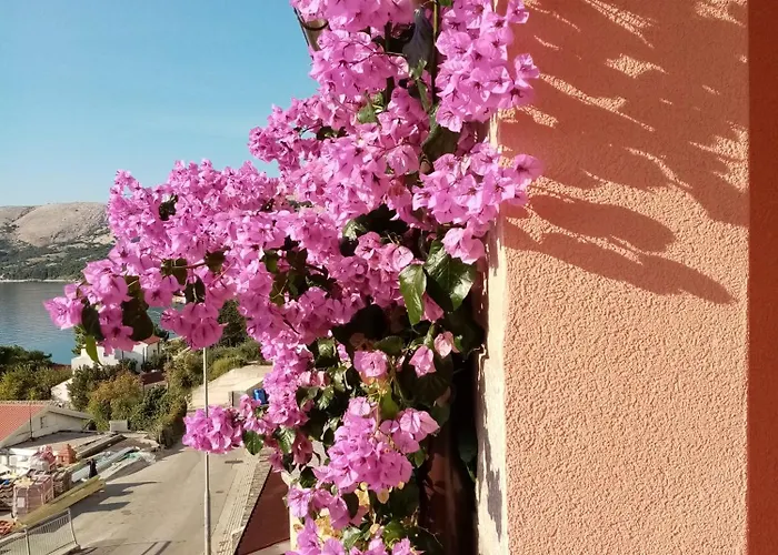 Biserka Stara Baška